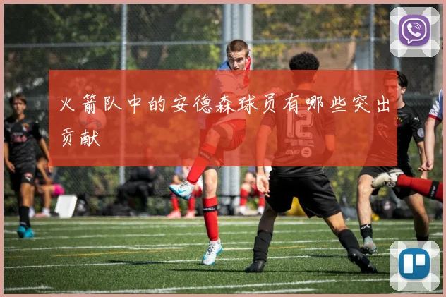 火箭队中的安德森球员有哪些突出贡献