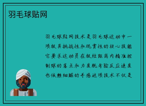 羽毛球贴网